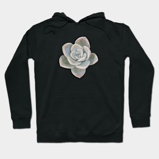 Low Poly Faded Succulent Hoodie